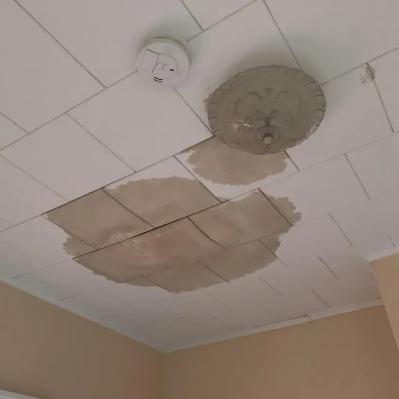 Ceiling Water Damage Repair in Columbus, MS