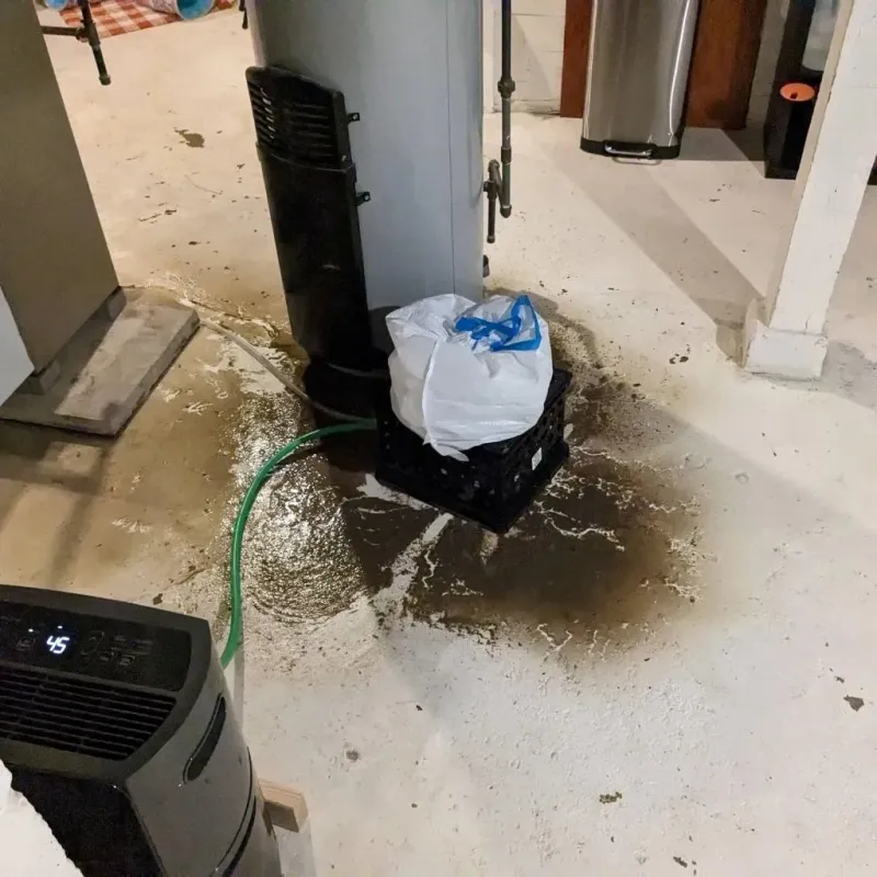 Sewage Backup Cleanup Service in Columbus, MS